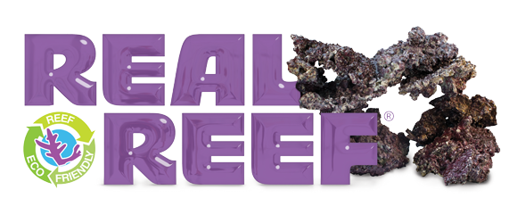real reef rock - Logo